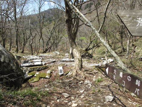 20140502hike (210)